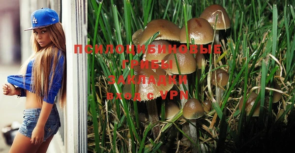 гидропоника Абдулино