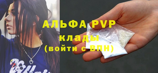 винт Тайга