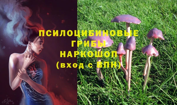гидропоника Абдулино