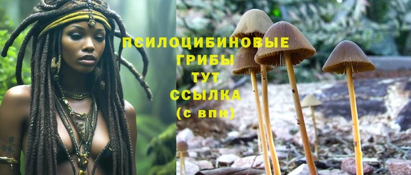 героин Абаза