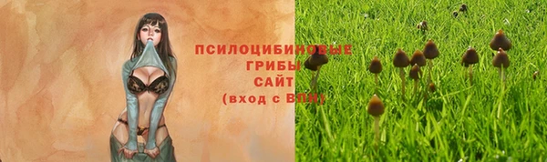 винт Тайга