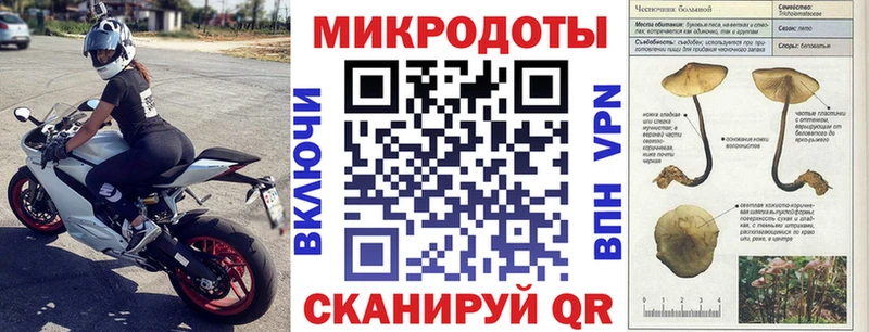 Псилоцибиновые грибы Cubensis  где продают   Фёдоровский 