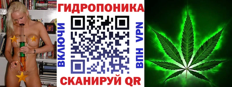 Марихуана SATIVA & INDICA  omg ссылки  Фёдоровский  как найти закладки 